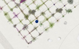 STUDIOD3R —
Studio for Design, Research
and Reflexive Realities